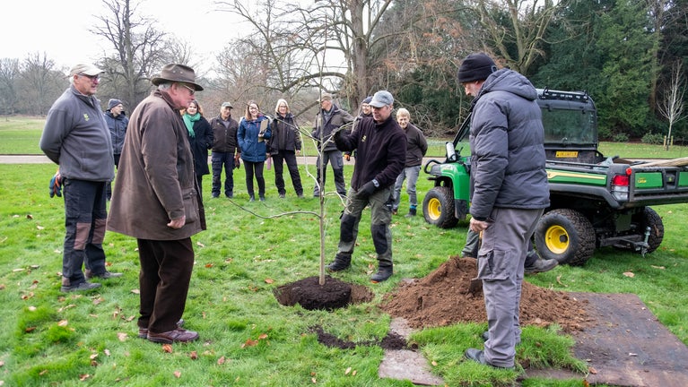 A group of staff and volunteers watch on as the gardeners prepare to plant a tree in the hole dug in the ground.